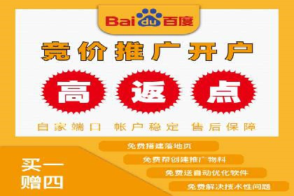 竞价广告的转化率提升策略——案例分享